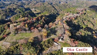 岡城の紅葉 ドローン空撮2018年版　DJI Mavic Air　Autumn leaves of Okashiro 2018 edition