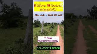 5 acre 18 guntas for sale at muduchintalapally mandal #realestate agriculturelandforsaleintelangana