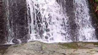 Enchanting Cascades: A Mesmerizing Waterfall Loop ASMR Symphony for Ultimate Relaxation