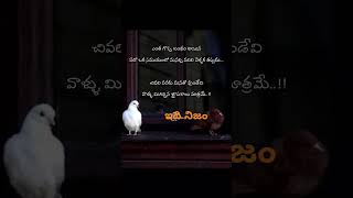 ఇది నిజం#shorts#viral videos #youtube shorts #telugu