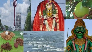 Kariya kaliamman Temple vlog | பெரியமணலி கரியகாளியம்மன் கோவில்| Perriya manali | செம்பன்