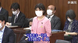 参議院 2021年06月09日 憲法審査会 #12 打越さく良（立憲民主・社民）