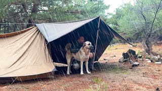 2 Days in the Forest in Heavy Rain! - Solo Camping in Heavy Rain and Rainstorm