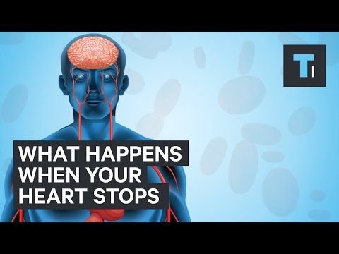 What happens if your heart stops for 20 minutes?