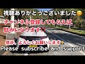 s660【オープンカー】って、どうなの⁉️ 迷ってるなら、とりあえず乗ろうよ😆