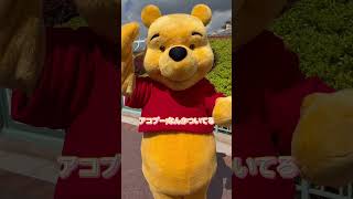 【プーさん○○がついてる？】 #disneyland #disney #ディズニーランド #pooh #winniethepooh #プーさん #shorts