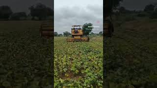 ಮುಂದಿನ ವಾರ