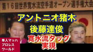 アントニオ猪木 後藤達俊 寛水流タッグ実現