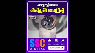 హెల్మెట్ లో దూరిన నాగుపాము.. || Baby Snake In The Helmet || #Shorts #SSCDigital #BalannaMuchatlu