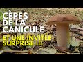 La canicule, des cèpes et une surprise inattendue, la folie ! #cepes 2024 #nature #asmr