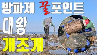 가장 많은 사람이 지나간 다리.아직은 조용한 그곳.! #해루질 #개조개