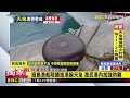 最新》中颱天兔來勢洶洶！威力持續增強東森新聞前進綠島@newsebc