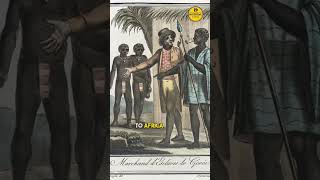 Did you know? RUM was once used as currency! 🥃