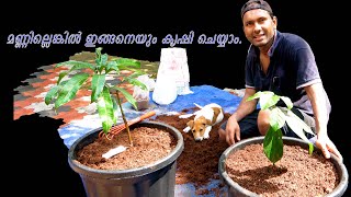 മണ്ണില്ലെങ്കിൽ ഇങ്ങനെയും കൃഷി ചെയ്യാം Modern agricultural techniques.