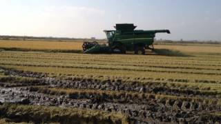 Harvest rice with John Deere S680i and Hydrafloat 625D Tidue Amfibios