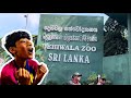 Going to the zoo in Sri Lanka 🇱🇰