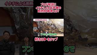 【プロが解説！！】イタチによる天井裏の断熱材被害とは？