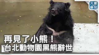 再見了小熊！台北動物園黑熊辭世