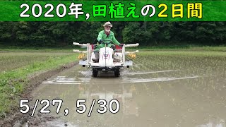 [2020 農作業日記6] 田植えの2日間 2020/5/27, 30