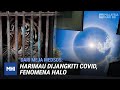 Dari Meja MedSos: Harimau Dijangkiti COVID, Fenomena Halo | MHI (3 Ogos 2021)