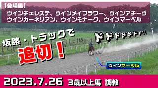 【3歳以上馬　調教】2023.7.26【坂路・トラック】入厩を控えた競走馬の追い切り