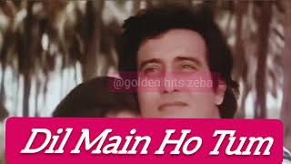 Dil Main Ho Tum ..../ Movie Satyamev Jayate /Vinod Khanna, Anita Raj/ 90's Hits @goldenhitszeba