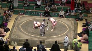 出羽疾風-勝誠/2017.5.25(30)/dewahayate-shosei/day12 #sumo