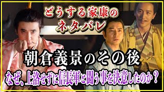 【どうする家康】朝倉義景のその後...なぜ、上洛せずに信長率いる幕府軍と闘う事を決意したのか？【歴史雑学】