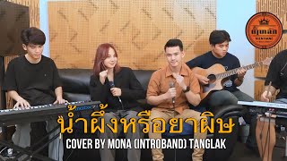 น้ำผึ้งหรือยาผิษ - วงผู้หญิง | Cover by Mona (introband) Tanglak music