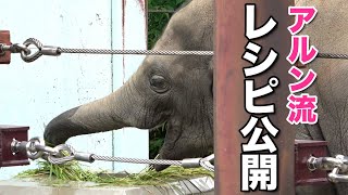 青草が美味しくなるレシピとパドックのお掃除法を子象アルンが教えます！Child elephant Arun  shows a recipe to make green grass delicious!