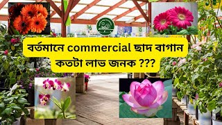 বাড়ির ছাদে বাগান করা কতটা লাভজনক | Rooftop Gardening Tips in Bengali ।