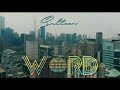 Sultan dhillon whatsapp status | word - I am the future | desi rap