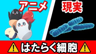 【はたらく細胞】 アニメと現実の細胞を比較したらギャップがスゴイ！ Cells at Work Hataraku Saibou