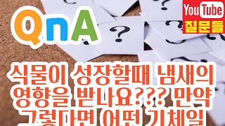 식물이 성장할때 냄새의 영향을 받나요??? 만약 그렇다면 어떤 기체일때 가장 많이 영향을 받나요??