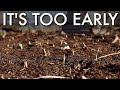 What to do if Your Bulbs Come Up Too Early 😳🌷👍// Garden Answer