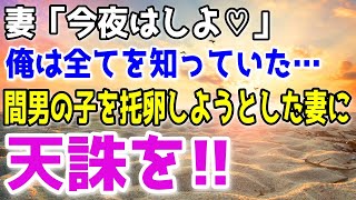 【修羅場】「今夜は一緒に寝たい♡」1年間もレスだったのに突然誘い始め営みを強要してくる妻→托卵計画の作戦実行中の妻を無視して俺は内心爆笑していた…その結果