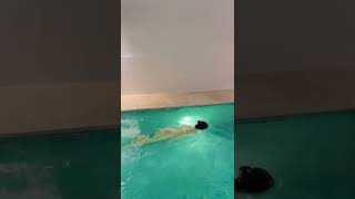 سكس اجنبي ظ