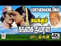 Gangai amaran song கங்கை அமரன், பாடி இசையமைத்த, எழுதிய மாலையில் மயக்கும் மணக்கும் மலர்களின் தொகுப்பு