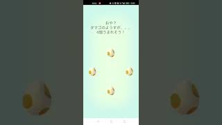 ポケモンGO★5km★タマゴ４連ガチャ色違いチャレンジ《2022年10月15日》#shorts