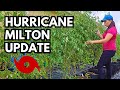 Checking my garden after hurricane Milton