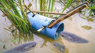 Fishing Skills - Unique Fish Trapping System Using Long Pipe as A Traditional Fishing [2019]