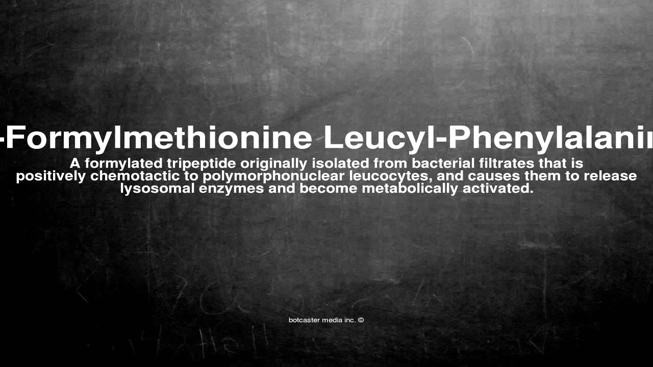 Medical Vocabulary: What Does N-Formylmethionine Leucyl-Phenylalanine ...