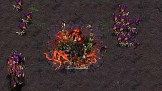 Starcraft Brood War: Zerg Mission 8: To Slay The Beast