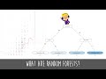 What are Random Forest Models? Simple Explanation