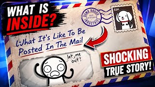 What REALLY Happens Inside the Mail? 📬 The Shocking Truth Revealed! 😱
