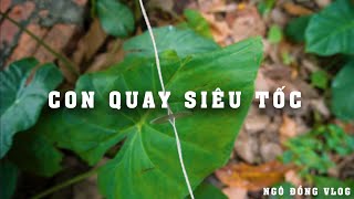CON QUAY SIÊU TỐC BẰNG NẮP CHAI BIA...(Spindle by beer bottle cap , strong, fast and destroy)