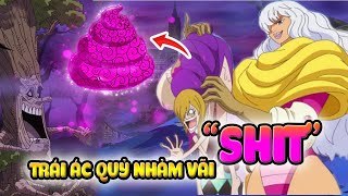 20 Trái Ác Quỷ PANADOL Cùi Bắp Nhất Mà Bạn Bỏ Lỡ | One Piece