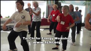 Dr Paul Lam | Tai Chi Workshop | Tai Chi for Energy Instructor Training