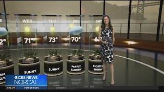 First Alert Weather Sunday morning forecast 6-7-26