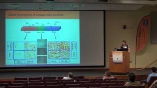 Integrating Mechanical Cues and Biomolecular Patterns for Tendon-Bone Junction Repair